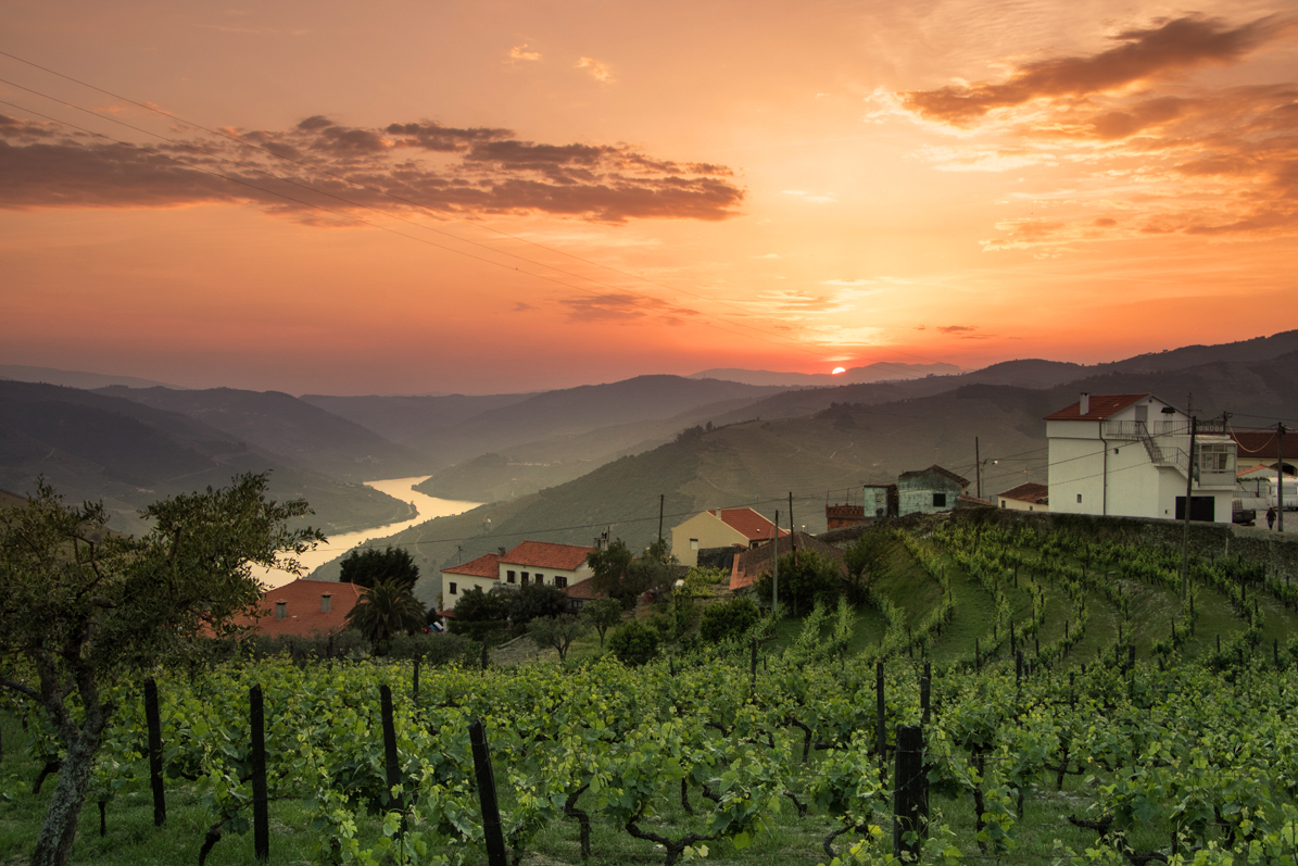 Vista da Valença do Douro