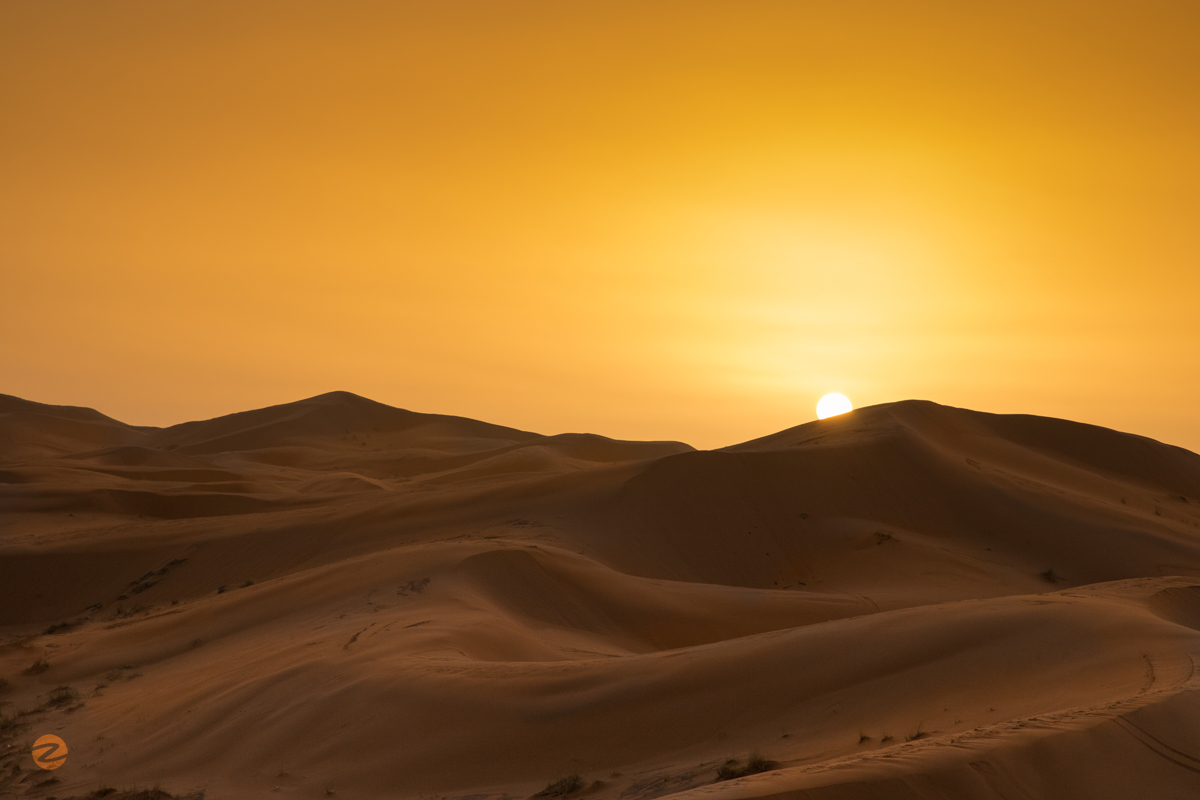 Sunrise in the Sahara Desert